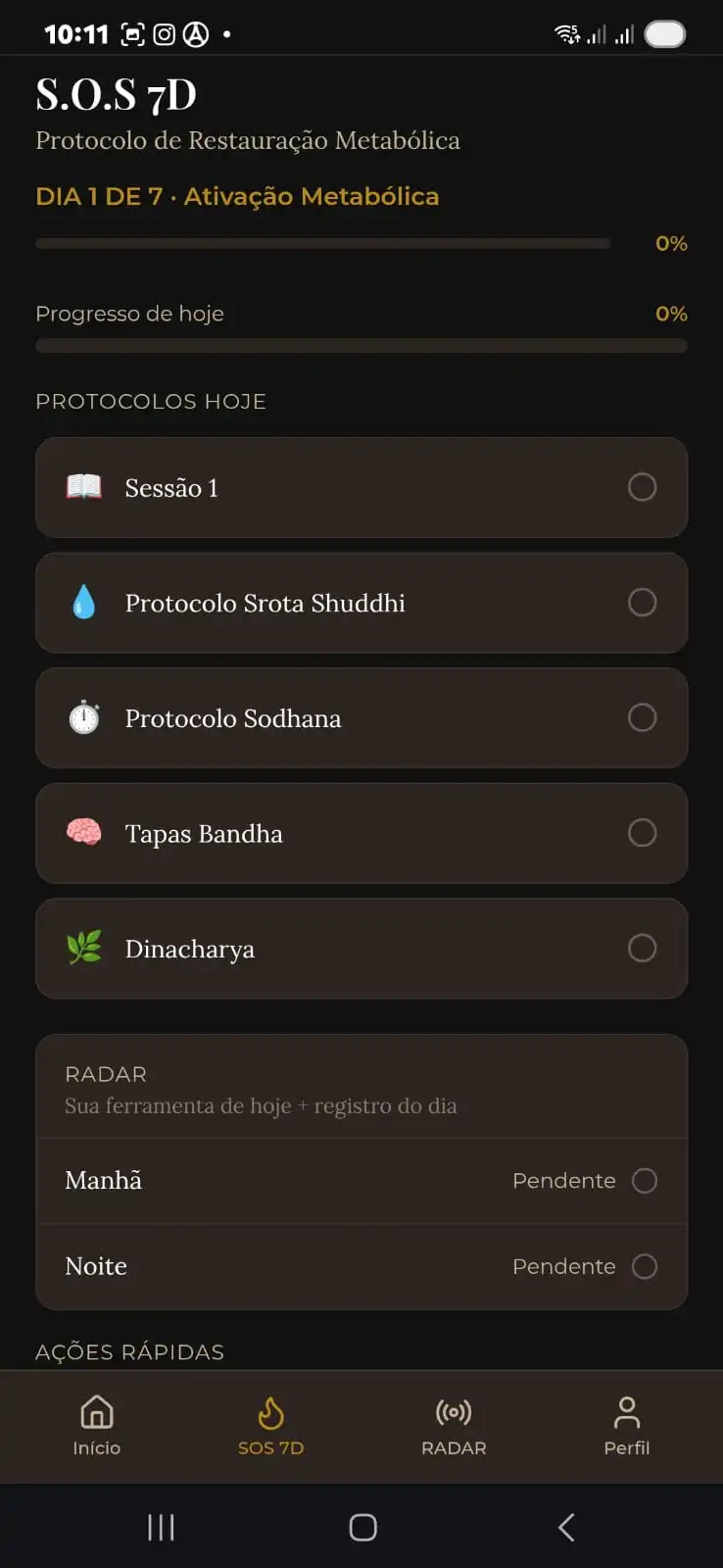 Tela do app — execução diária